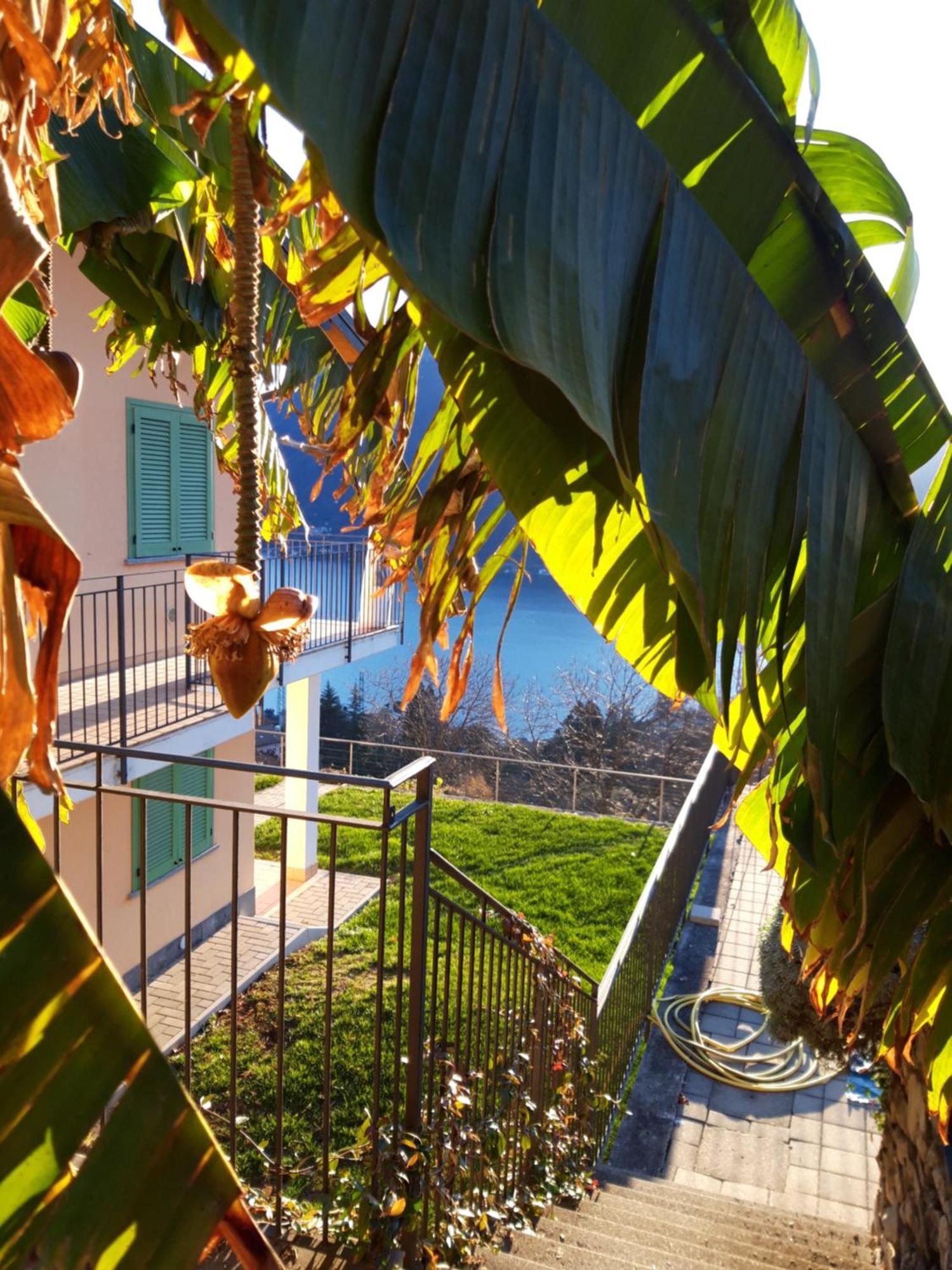 Montagna Del Sole W/ Pool Apartment Muronico Екстериор снимка